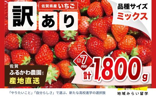 
                  【先行予約｜ふるかわ農園】佐賀県小城市産「訳ありイチゴ」1,800g
                