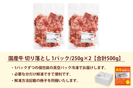 国産牛切り落とし500g（250g×2パック）（DV070）