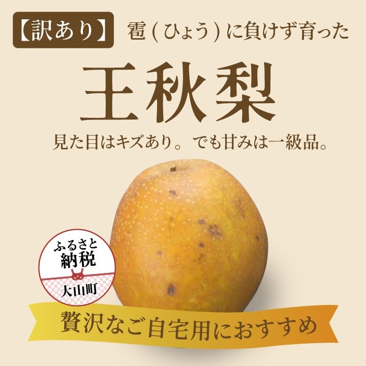 
            DS-27【訳あり梨】「ひょう」の被害を受けても力強く育つ王秋梨
          