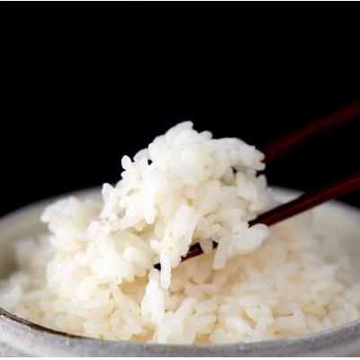 ふるさと納税 東温市 〈坂本自然農場 穂田琉〉 特別栽培米:ひめの凜　精米5kg |  | 01