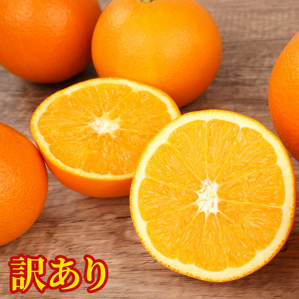 【ふるさと納税】訳あり ネーブルオレンジ 約5kg or 約10kg サイズおまかせ アルギット 栽培 国産 甘い おいしい ジューシー 皮 薄い 完熟 期間限定 フルーツ 果物 人気 おすすめ 高級 こだわり ギフト 旬 山崎農園 和歌山