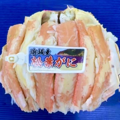 ふるさと納税 京丹後市 松葉ガニ　甲羅盛　L |  | 01