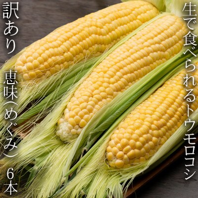 
生で食べられるトウモロコシ　訳あり　恵味(めぐみ)　6本入り【1417282】
