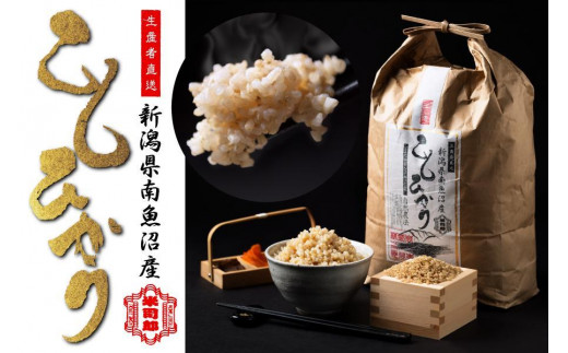 
            【令和6年産】【玄米】自然農法/化学肥料不使用の南魚沼産こしひかり10kg
          