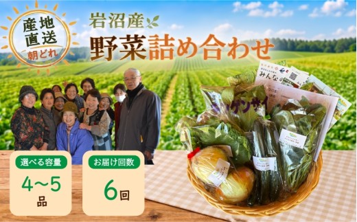 [定期便6か月] 産地直送 朝どれ 新鮮野菜 4～5種類 詰め合わせ セット おまかせ 旬 季節の野菜 春野菜 夏野菜 秋野菜 冬野菜 根菜 ネギ 白菜 トマト 玉ねぎ ほうれん草 キャベツ ブロッコリー ナス 太陽と水と土 自然の恵みをたっぷり浴びた野菜 宮城県 岩沼産