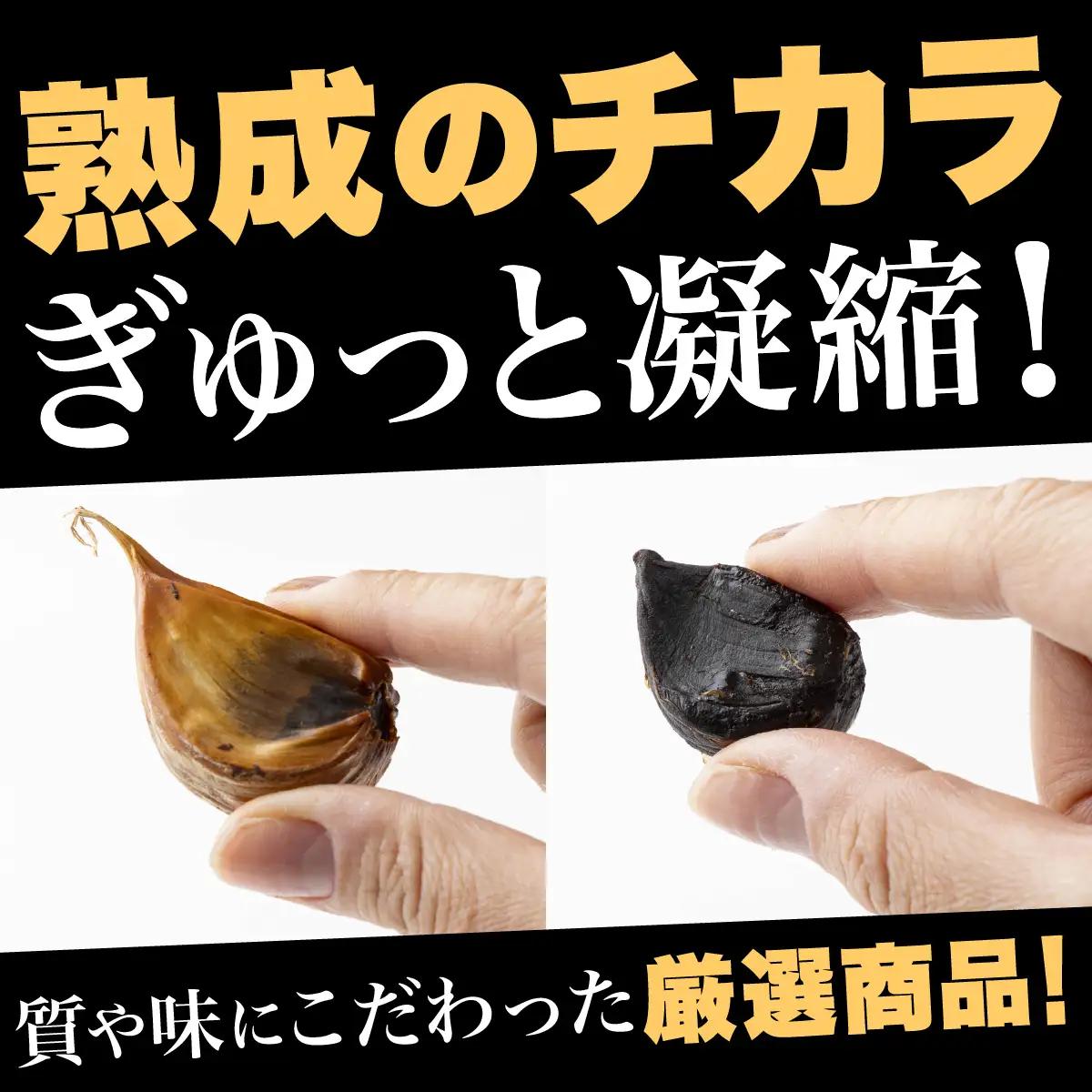 ⿊にんにく 500g×2パック 【国産 にんにく 新鮮 野菜 長期保存 健康 贈り物 ギフト 東北 青森県 七戸町 送料無料】【02402-0387】