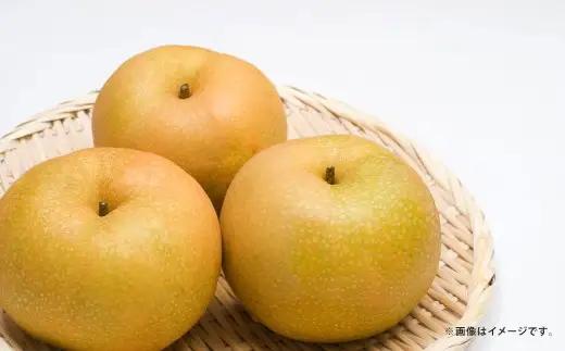 豊水梨 約3kg （4～12玉） ナシ なし 梨 熊本県 熊本市 果物 くだもの フルーツ 果実 果汁 果肉 フレッシュ 水分補給 【 2027年8月上旬 ～ 下旬発送予定 】