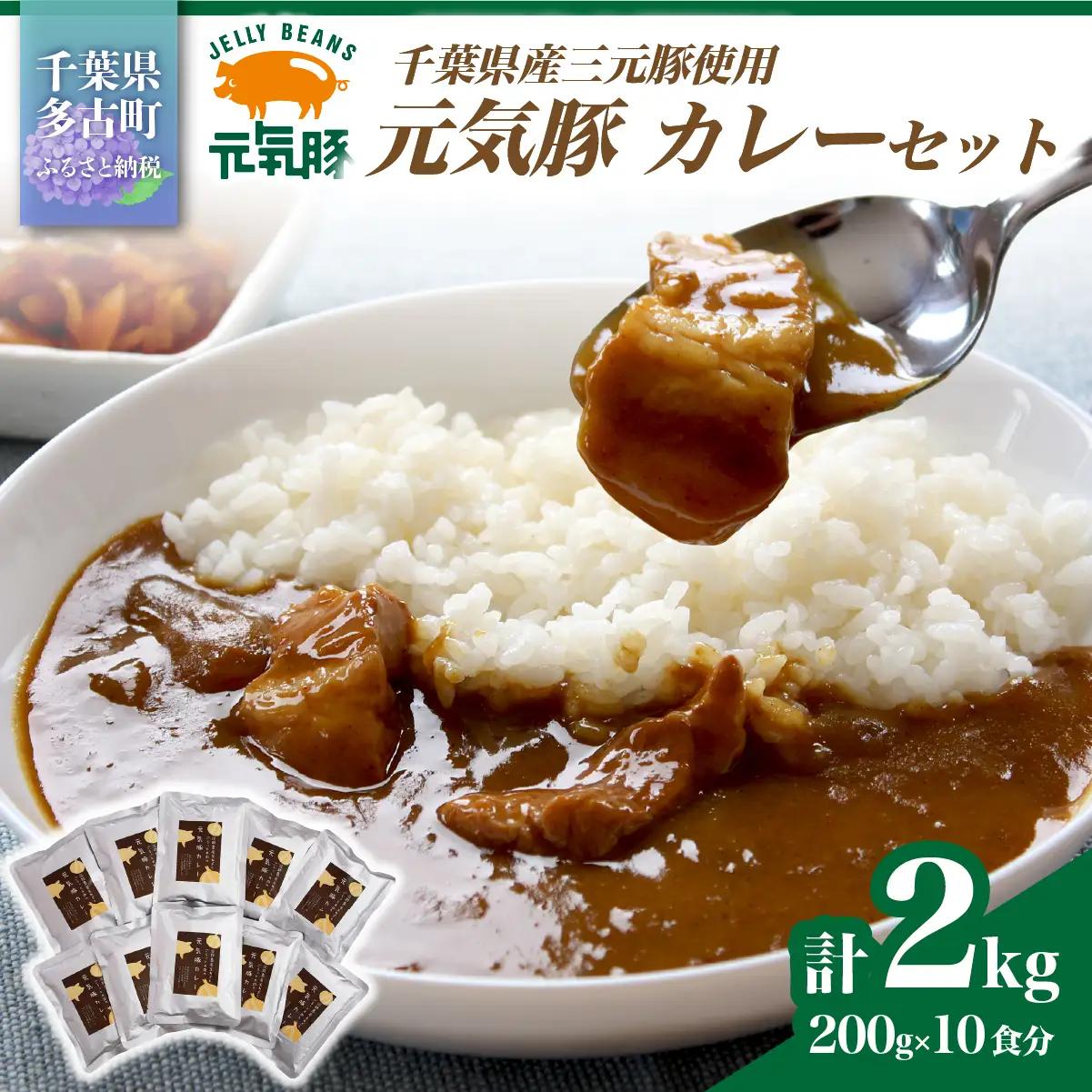 【千葉県産三元豚使用】元気豚 カレーセット　2kg(200g×10食分)_三元豚 カレー セット 千葉県産_【配送不可地域：離島・沖縄県】 MT203971_041001