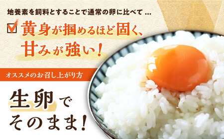 【黄身がつかめる最高級の卵】【12回定期便】かきやまの「地養卵」 Mサイズ 40個×12回定期便＜垣山養鶏園＞ [CBB020]