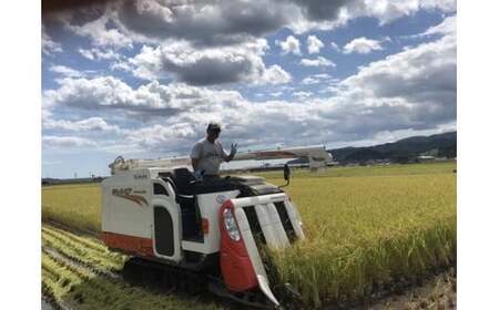 先行予約【5ヶ月定期便】 令和7年度産 新米 ひとめぼれ 玄米 50kg (10kg×5ヶ月定期便) 海の見える農園で作った玄米 【 米 お米 おにぎり おむすび お弁当 数量限定 産地直送 岩手県 