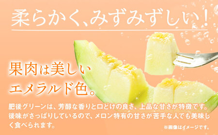 【先行予約】肥後グリーンメロン 2玉 児玉農園 1玉(1.5kg以上)《5月上旬-5月末頃出荷》メロン グリーンメロン 熊本県 玉東町 フルーツ 果物