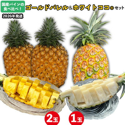 【ふるさと納税】国産パインの食べ比べ！ゴールドバレル（2玉）&ホワイトココ（1玉）セット【2026年発送】 パイン パインアップル パイナップル ゴールドバレル ホワイトココ 数量限定 食べ比べ お試し ジューシー 希少 生産量日本一 国産 国産パイン おいしい トロピカル