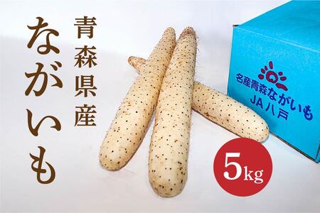 長芋 5kg ながいも 野菜　