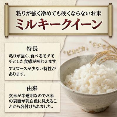 ふるさと納税 陸前高田市 お米食べ比べセット ミルキークイーン ひとめぼれ 各5kg 令和8年度 新米 米 及川産業 |  | 01