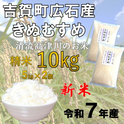 【ふるさと納税】令和7年産　吉賀町広石産きぬむすめ　清流高津川のお米　精米10kg_ きぬむすめ 米 白米 精米 10kg 高津川 清流 国産 人気 ご飯 美味しい 島根県【1679151】