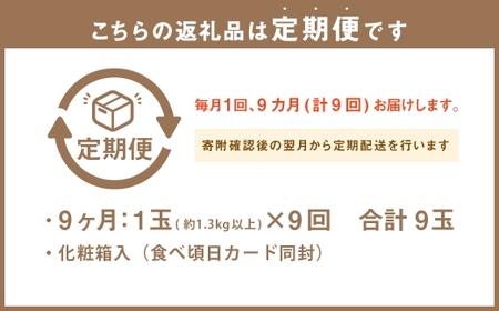 【9ヶ月定期便】 静岡県産 高級 アローマメロン 約1.3kg以上 × 山等級 1玉 メロン めろん 高級メロン フルーツ 果物 くだもの 定期便 静岡県 菊川市