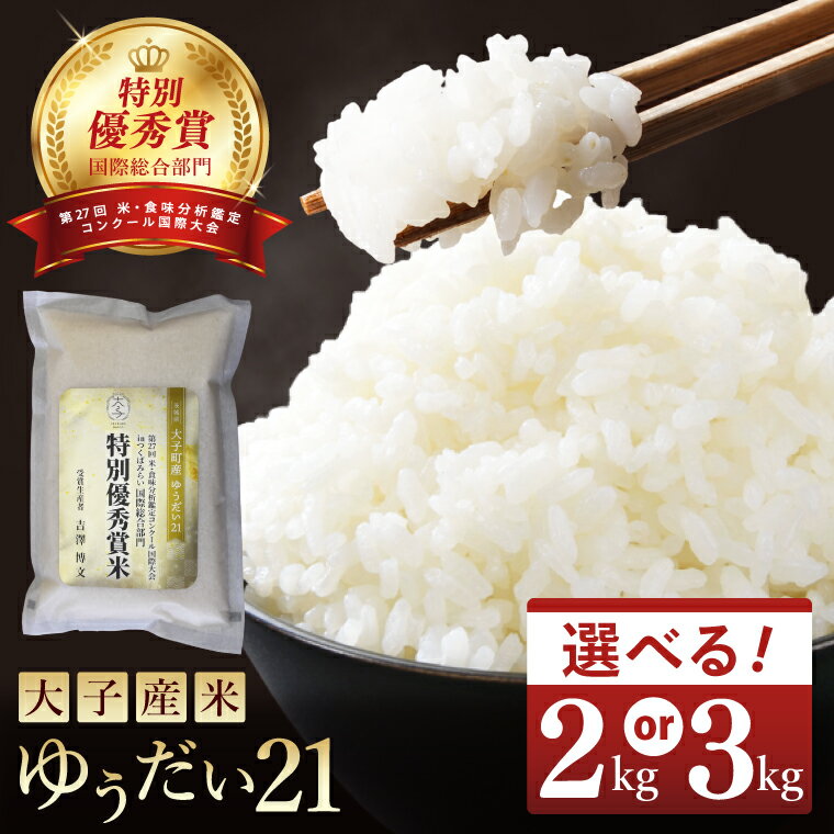 【ふるさと納税】【選べる内容量】【特別優秀賞・国際総合部門】【贈答用】大子産米 ゆうだい21 2kg・3kg｜茨城県 大子町 白米 希少品種 令和7年産 コンテスト 優秀賞 受賞米 数量限定 ギフト プレゼント((AV061)