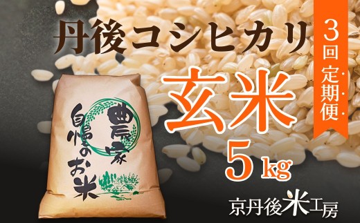 2026年産　京丹後産コシヒカリ 玄米5kg　3回定期便　GB00008