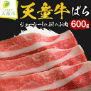 【ふるさと納税】天童牛 ジューシー しゃぶしゃぶ肉 ( ばら ) 600g国産 黒毛和牛 和牛 牛肉 ブランド牛 山形牛 ばら肉 冷凍 お鍋 ご家庭用 ギフト プレゼント のし 贈答 お中元 お歳暮 お取り寄せ グルメ 食品 送料無料【山形県 天童市】