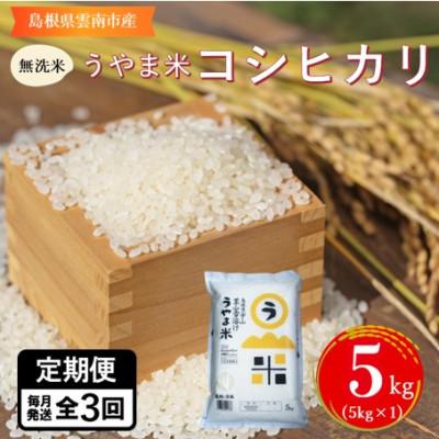 ふるさと納税 雲南市 【毎月定期便】【無洗米】神話の里/吉田町「うやま米」コシヒカリ 5kg(5kg×1)全3回