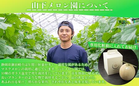 温室メロン 1玉 約1.4kg マスクメロン メロン 果物 くだもの フルーツ ギフト 化粧箱 静岡 人気 おすすめ メロン 山下メロン園 最高級マスクメロン メロン