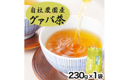 宮崎県串間市産 グァバ茶 (230ｇ×1袋) 自社農園産100%_K021-015