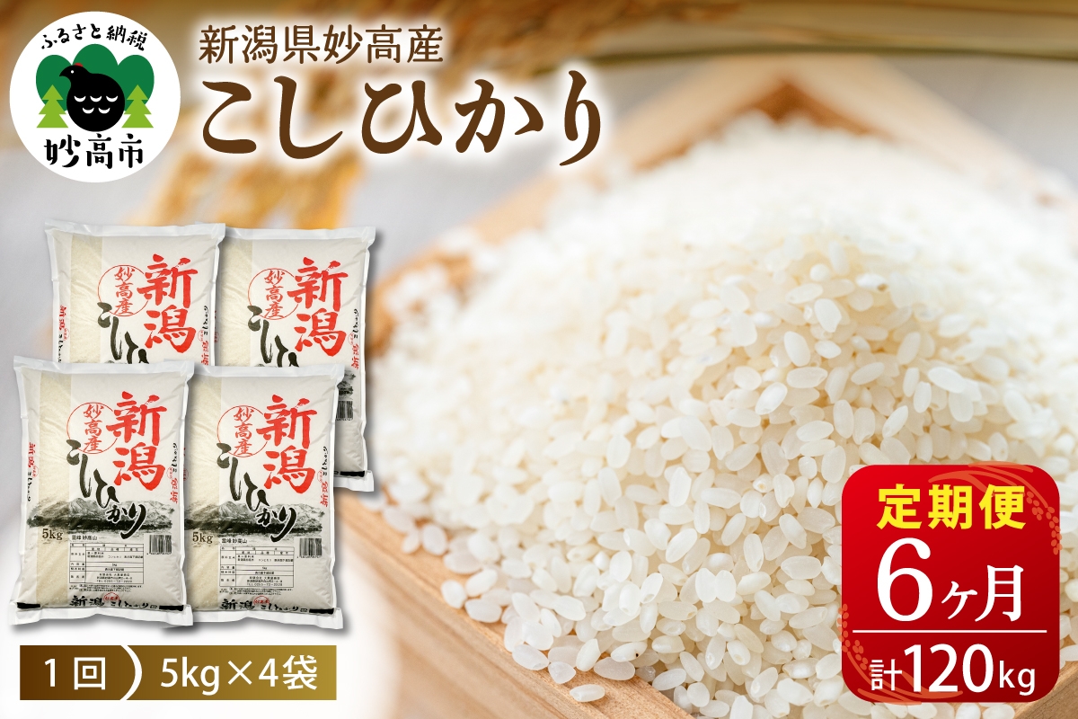 
                  【毎月定期便】令和8年産 新潟県妙高産こしひかり20kg(5kg×4袋)×6回（計120kg） 精米 コシヒカリ コメ こめ ごはん 米どころ 甘み 粘り 逸品 希少価値 ブランド米 新潟県 妙高市
                