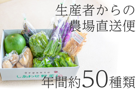 野菜 オーガニック 野菜 レギュラーサイズ 野菜セット 有機JAS認証 有機野菜 ９～１２袋 しあわせ野菜畑 6337