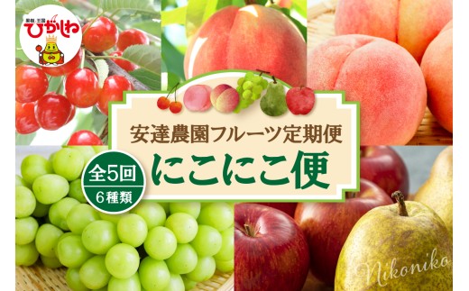 【2027年 5回定期便】安達農園フルーツ定期便 にこにこ便 山形県 東根市 安達農園提供 hi037-012-r9 さくらんぼ 佐藤錦 もも 桃 ピーチ 品種お任せ ぶどう シャインマスカット ラフランス 西洋梨 洋ナシ 洋なし りんご サンふじ フルーツ 果物 くだもの 定期便 2027年産 令和9年 セット コース 先行予約 人気 ふるさと納税