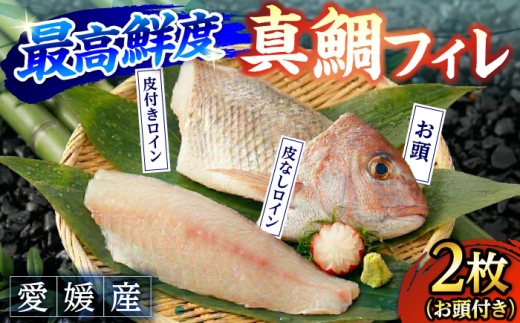 鯛 愛媛県産養殖真鯛フィレ2枚（お頭付き冷凍） ／ 魚 お魚 さかな おさかな 食品 真鯛 マダイ まだい 養殖 フィレ 刺身 鯛 愛媛県産 国産 お取り寄せ ギフト 特産品 産地直送 海鮮 新鮮 旬 内子 返礼品 お礼品 贈答品 人気 おすすめ 送料無料 四国 愛媛県 内子町 ふるさと納税 【愛媛県漁業協同組合】 [BKBA001]