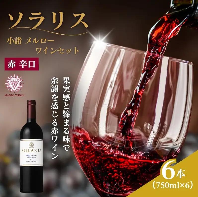 ワイン 赤 ソラリス 小諸 メルロー 750ml×6本 ワイン 