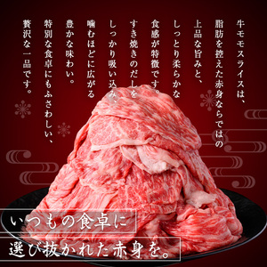 ＜定期便・全5回＞鹿児島県産黒毛和牛モモスライス(計5kg・1kg(500g×2P)×5回) 黒毛和牛 モモスライス すき焼き【ナンチク】T70