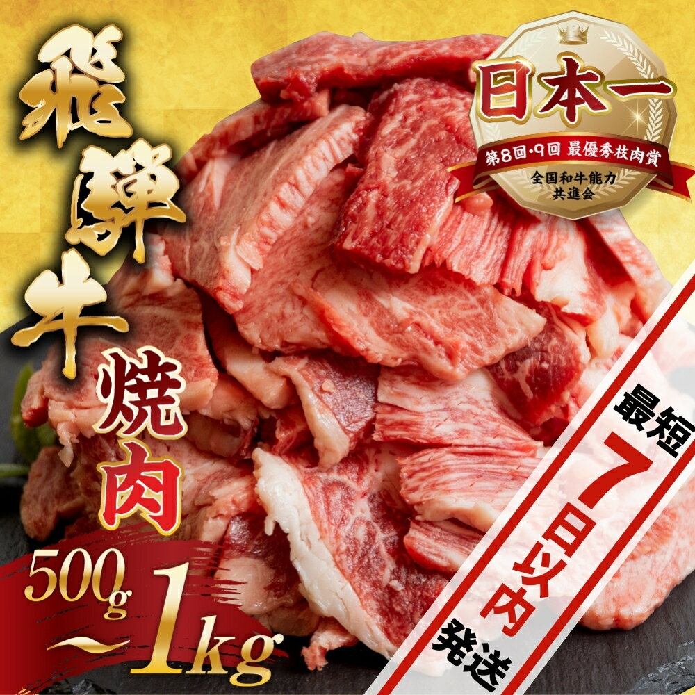 【ふるさと納税】 訳あり 飛騨牛 焼肉 切り落とし 500g or 600g or 500g × 2 計 1kg | 牛肉 肉 切落し わけあり 不揃い 小分け 冷凍 本巣市 トキノ屋 BBQ バーベキュー 人気 焼き肉 [mt656] 25000円 15000円 13000円