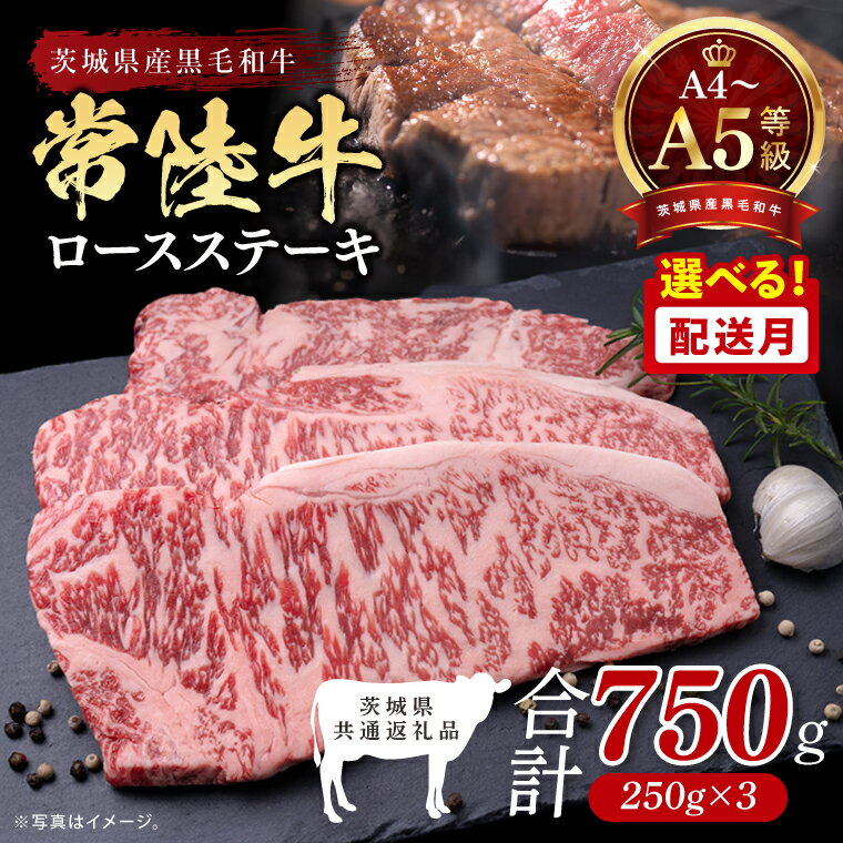 【ふるさと納税】【選べる発送時期】最高級A4.A5ランク 常陸牛ロースステーキ750g（250g×3）【人気肉 お肉 牛肉 和牛 黒毛和牛 国産黒毛和牛 ロース肉 ステーキ 国産牛 焼肉 焼き肉 バーベキュー BBQ A5 ブランド牛】(CR102)