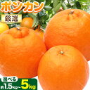 【ふるさと納税】【先行予約】 厳選 ポンカン 選べる 約1.5kg＋45g 約2.5kg＋75g 約5kg＋150g (傷み補償分) 光センサー選別 和歌山県産 有田 ポンカン ジューシー 池田鹿蔵農園 《1月中旬-2月末頃出荷》和歌山県 日高町 果物 送料無料【配送不可地域あり】