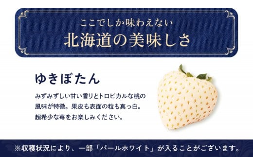 【受注後、随時発送！】【北海道産】ゆきいちご（白いちご）2Pセット 250g×2 計500g