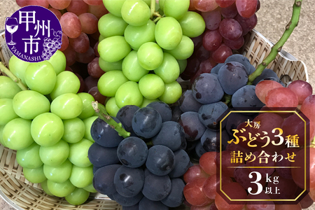 甲州屋厳選 大房ぶどう3種詰め合わせ 3kg以上【2026年発送】D-117 ぶどう フルーツ