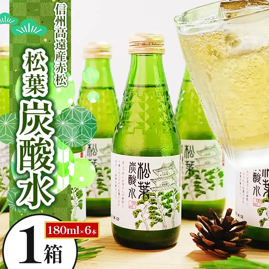 信州高遠産赤松:松葉炭酸水180ml×6本1箱 | 長野県 伊那市 松葉健康法 松葉 高遠 高遠里山の風 里山 再生 保全 松 松葉 炭酸 森林浴 信州 長野県産【010-70】