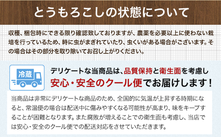 とうもろこし 15本｜とうもろこしとうもろこしとうもろこし ゴールドラッシュ