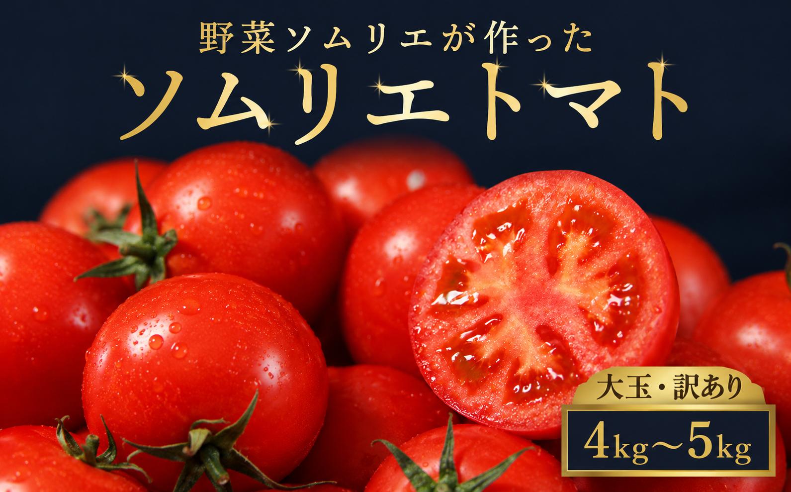 
                  【特別栽培農産物】大玉 訳あり ソムリエトマト 約4kg～約5kg | 野菜 やさい トマト とまと 銀賞 熊本県 玉名市
                