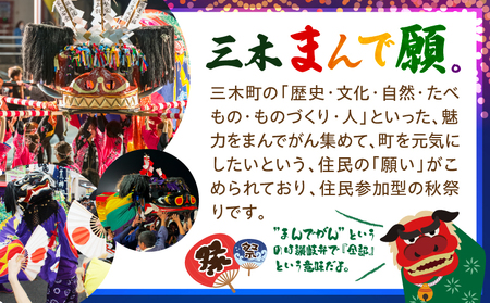 MIKI MANDEGAN 手ぬぐい（紫） | 手ぬぐい イベント 地域の祭り 地域応援 獅子舞 お祭り 香川県 三木町 |_ mk158-011-05