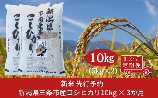 先行予約 コシヒカリ定期便10kg(5kg×2袋)×3回 [10月中旬から発送予定] 新潟県 三条市 下田産 こしひかり 10kg 精米 白米 【060S010】