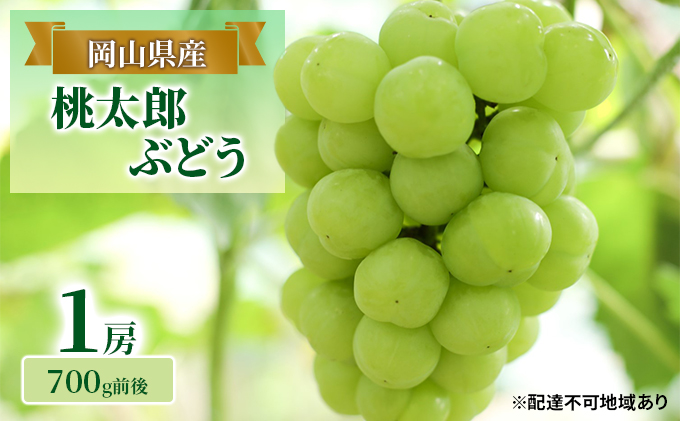 ぶどう 2024年 先行予約 桃太郎 ぶどう 1房 700g前後 ブドウ 葡萄  岡山県産 国産 フルーツ 果物 ギフト