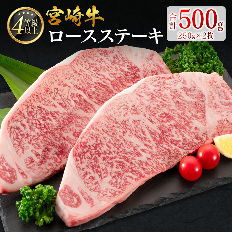 【ふるさと納税】＼レビューキャンペーン実施中／宮崎牛 ロースステーキ 計500g（250g×2枚）肉質等級4等級 国産 人気 おすすめ