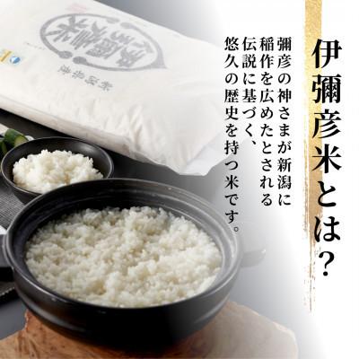 ふるさと納税 弥彦村 【発送月固定定期便】10月より順次発送　特別栽培米コシヒカリ「伊彌彦米」10kg全6回 |  | 01