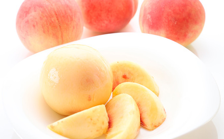 【定期便4回】イチオシフルーツ！やまがた宝箱A　(2024年～2025年お届け)  FZ23-675