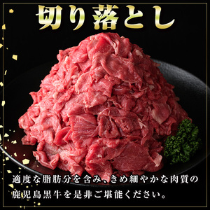 【C01010】＜定期便・全3回(隔月)＞満足便 鹿児島黒牛切り落とし(約1kg×3回・計約3kg)牛肉専門店自慢 鹿児島 国産 九州産 黒牛 鹿児島黒牛 切り落し 切落し 切落とし カット スライス