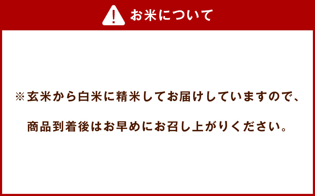 菊池掛け干し清流米 10kg