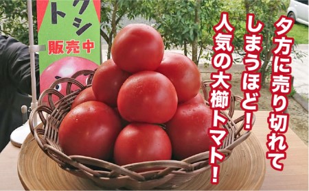 【先行予約受付中：2023年10月中旬以降順次発送】甘くて濃厚！糸島産大玉トマト4kg《糸島》【大櫛トマトファーム】[AQH002] トマト とまと 大玉 tomato 予約販売 甘い 大きい 産地直