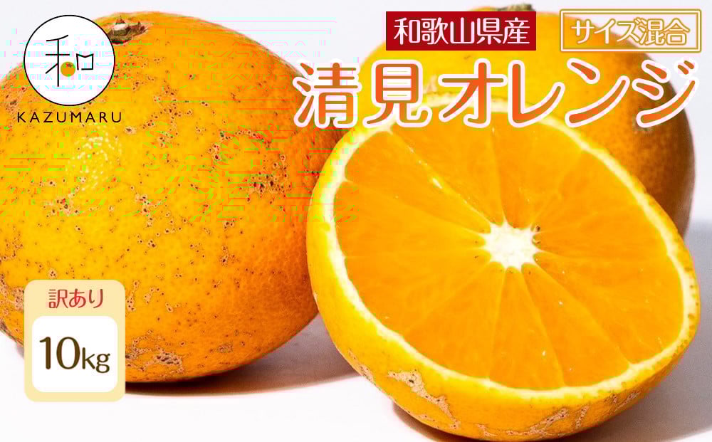
            訳あり 森本農園の手選別 清見オレンジ 約10kg 和歌山県産 サイズ混合 ［北海道・沖縄・離島配送不可］［RN49］［2026年2月上旬から5月中旬頃順次発送予定］
          